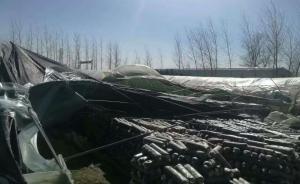 駐馬店發生風雹災害：六百余人受災，直接經濟損失兩百余萬