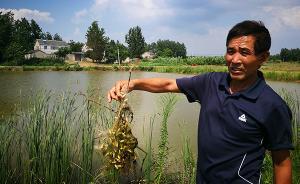 南京7歲男童目睹爸爸沉塘溺亡，家屬：水塘挖建一年未設(shè)警示