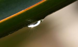 北京市民住文保單位無權修復損壞屋頂，維修隊簡單修補難根治