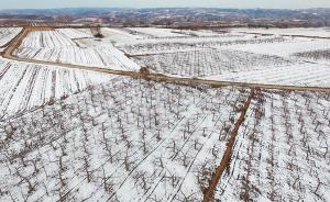 一年之計在于春｜洛川果農的脫貧路：創(chuàng)新銷售將蘋果賣到全球