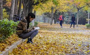山東：新學(xué)期起，省屬高校試點取消二級學(xué)院行政級別