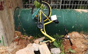 國(guó)內(nèi)思想周報(bào)｜共享單車(chē)掛鉤國(guó)民素質(zhì)，新世相販賣(mài)文藝情懷