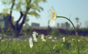 调查称我国两成中学生想过自杀，体育锻炼能树立积极的人生观