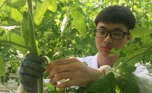 北京首批職業(yè)農(nóng)民正式上崗：18位90后大學(xué)生，月薪超五千