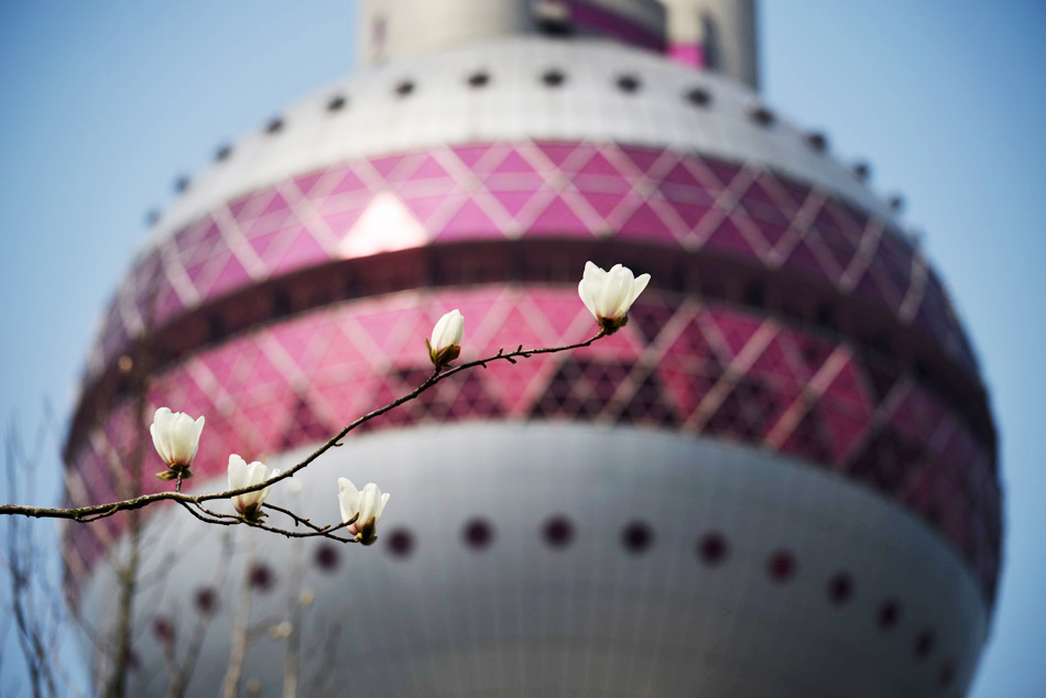 01-632842283619307795