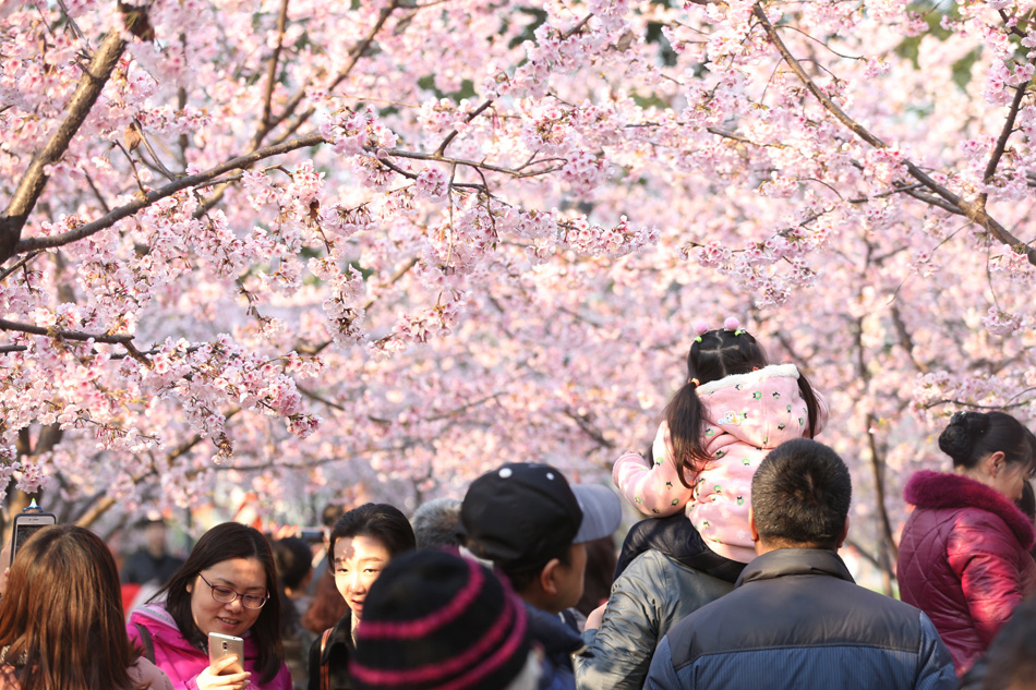 02-318714596037374400 副本