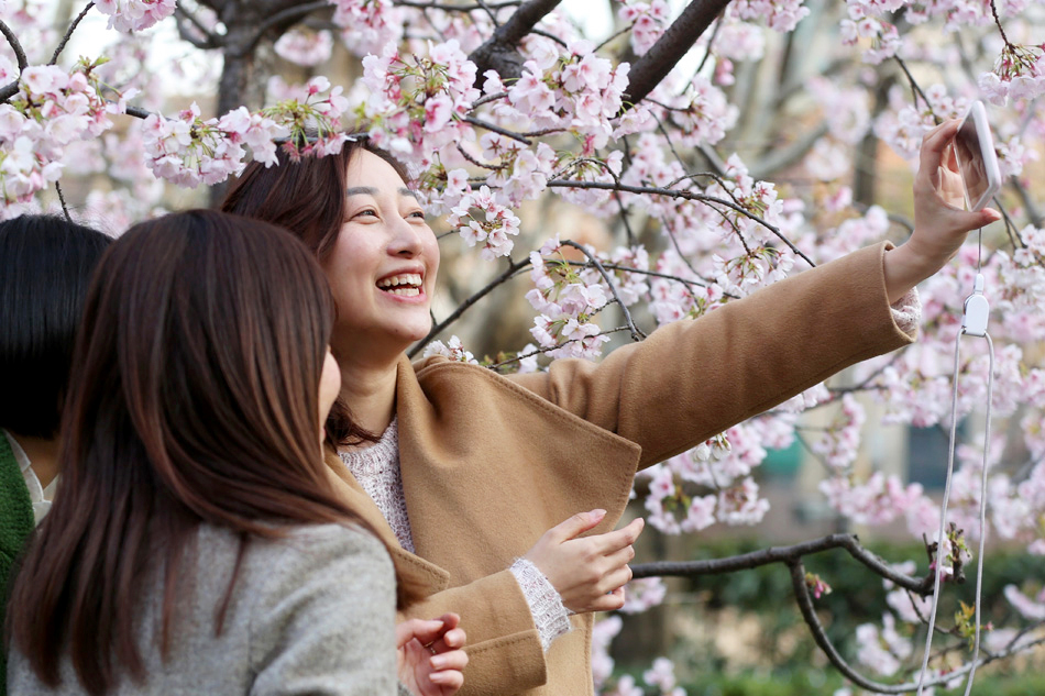 03-555723877415207809 副本