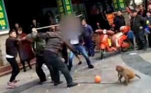 湖北黃梅通報“耍猴人遭圍毆”：賣藝討錢起糾紛，2嫌犯落網(wǎng)