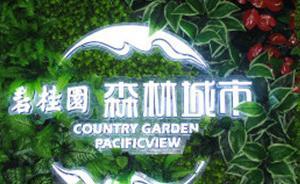 碧桂園馬來西亞項目森林城市暫停推介付款，九成業(yè)主來自國內(nèi)