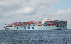 中遠集運公司重申不承運魚翅相關產品，環保組織稱系中國首家