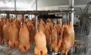 鴨子黑作坊：煮鴨鍋用來洗頭