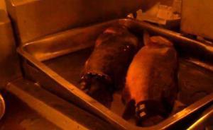 长沙食药监通报“俏江南”：涉嫌使用无标识食品、餐具积灰