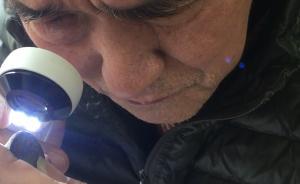 上海試點(diǎn)文物免費(fèi)鑒定：有藏友專從河北趕來