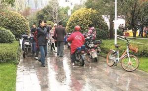 “櫻花黃?！庇脤W(xué)生證件攬客，10元進生活區(qū)35元進核心區(qū)