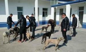 江苏警方捣毁斗狗赌局抓30人，参赌者自带猎犬先咬到兔子胜