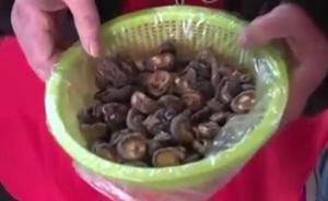 干香菇直接燒菜，吃進(jìn)胃里“長大了”