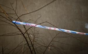 安徽男子殺害兩兄長重傷母親和侄子，兄弟間曾爭奪宅基地