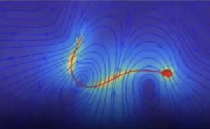 成功受孕：精子要游得對(duì)而非游得快