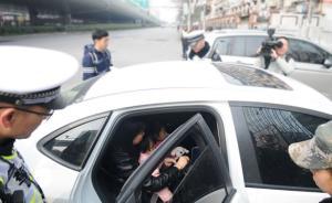 滬新交規(guī)實(shí)施首日｜楊浦查處多類違法：后排未系安全帶占六成