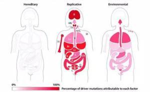 《科學(xué)》“66%癌癥來自壞運(yùn)氣”論文被誤讀，可預(yù)防勿灰心