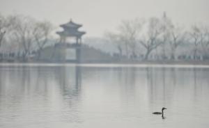 財政分權(quán)視角下的霧霾治理