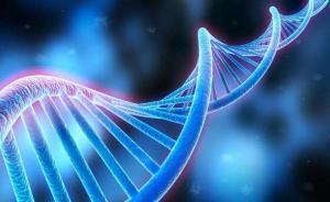 古人類牙結(jié)石揭迄今最久微生物基因組草圖出爐