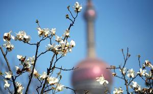 冬天已占全年三分之一，上海明日均溫超10℃就能成功入春