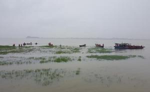 8頭鄱陽湖江豚遷居湖北，農(nóng)業(yè)部長江辦：為保種，最終要回家