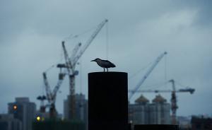 各地政府相繼調(diào)查房企違規(guī)，住建部：要始終保持高壓嚴(yán)查態(tài)勢