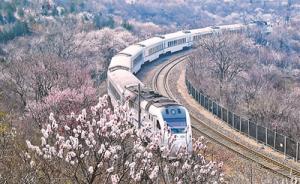 居庸關(guān)“花海列車”屢現(xiàn)游客翻越鐵路護網(wǎng)，一天勸離四五十人
