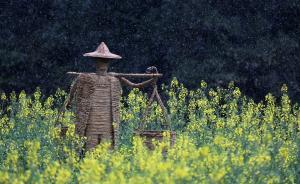 中紀委機關(guān)報：“鄉(xiāng)情”再難忘，也不能用違紀違規(guī)行為來維系