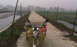 人民日报批“假下乡”：为避免弄脏领导皮鞋，在田里修水泥路