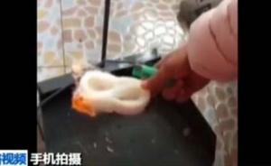 “塑料粉絲”“塑料紫菜”是真是假