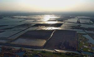 最受资金追捧的5只雄安新区概念股：金隅股份华夏幸福在列