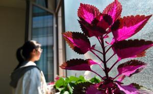 世界衛(wèi)生日｜聚焦抑郁癥，世衛(wèi)組織：中國有5400萬患者