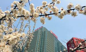 中石化研究銷售公司深化體制改革總體方案，稱不能葉公好龍