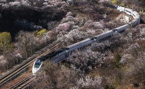 居庸關(guān)“花海列車”護路隊員：一天得有100多人進鐵軌