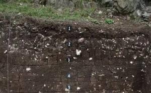 考古奧斯卡︱花落誰(shuí)家：對(duì)2016十大考古發(fā)現(xiàn)評(píng)選的解讀