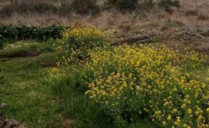 暖聞｜角膜受捐者拍照致出生4天夭折的捐獻者：替你看到春天