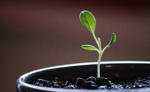 中青报刊文：“有错就改、改了再犯”考验环保督察机制