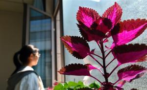 精神分析視角下的自閉癥：訓(xùn)練他們還是學(xué)會(huì)與他者共同生存