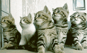 借書可以像叫外賣一樣方便了，但你讀的書要符合“主流”