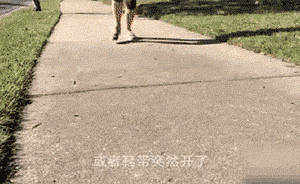 跑著跑著鞋帶散了，美國學(xué)者發(fā)現(xiàn)事情沒那么簡單，還發(fā)了論文