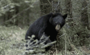 雄安新区概念股复牌后集体暴跌：唐山港领衔14股跌停