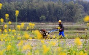 中國(guó)青年報(bào)：保障外出租地農(nóng)民的權(quán)益就是保障失地農(nóng)民就業(yè)權(quán)