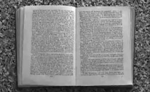 华师大平均每天读一本书的阅读达人是如何练成的