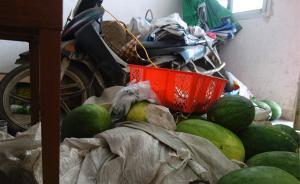 河南城管被殺案：和瓜販各自留下寡母孤父，目擊者稱搶秤引發(fā)