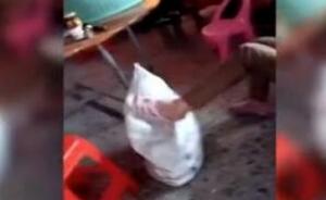 廉江警方通報(bào)“套蛇皮袋虐童”：親奶奶管教不當(dāng)，已批評(píng)教育