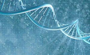 中国科学家用大数据探寻植物基因“好”“坏”背后的奥秘