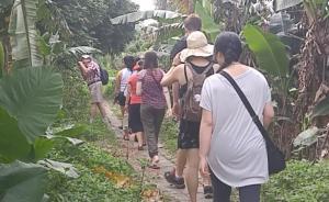 地方志 | 在倉東,重新發(fā)現(xiàn)與祖先的聯(lián)系